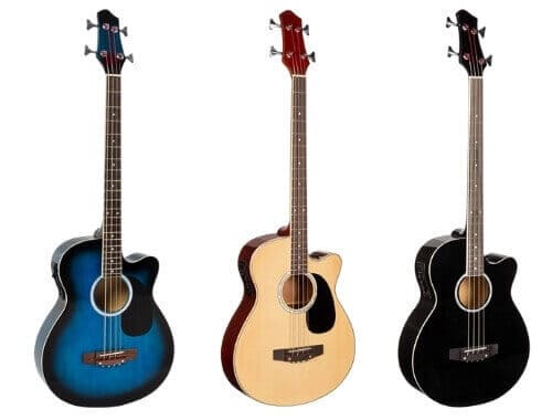 Best Choice Accoustic Bass or Acustic Bass Review