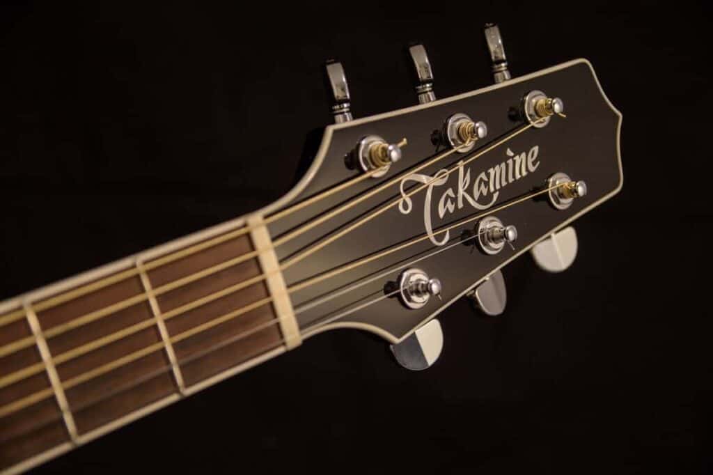 Takamine G Series Review