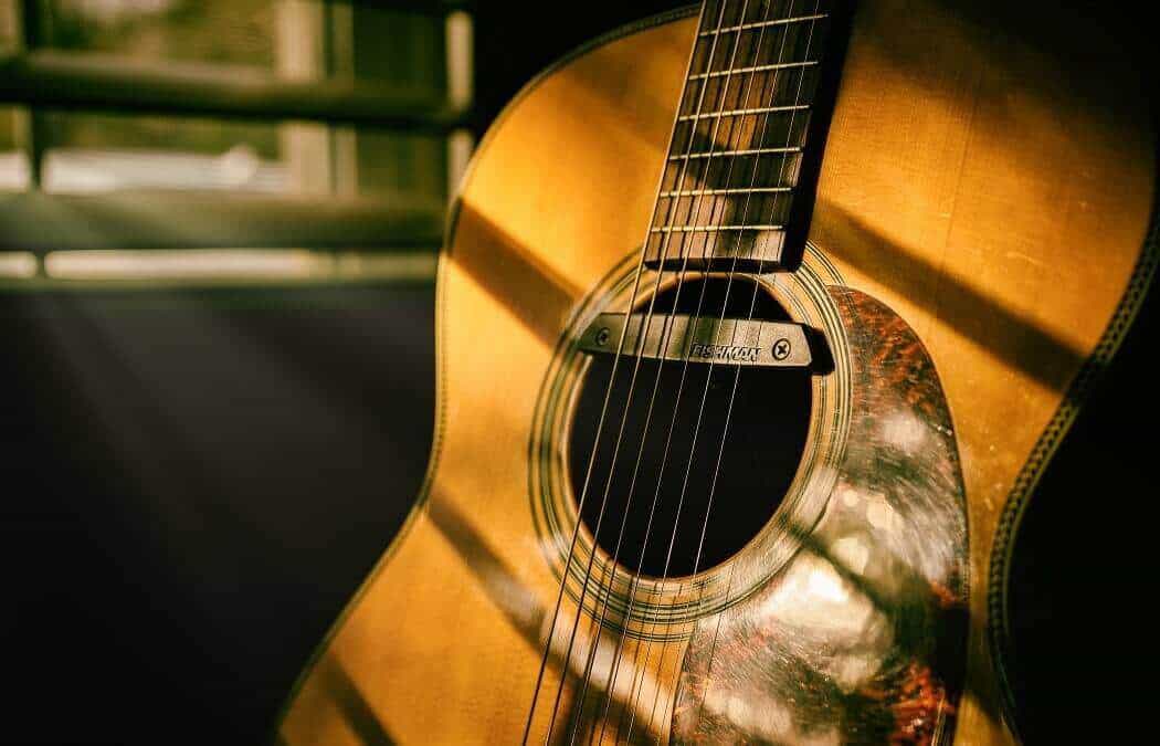 Performance Plus Acoustic Guitar Soundhole Pickup GSP-2 