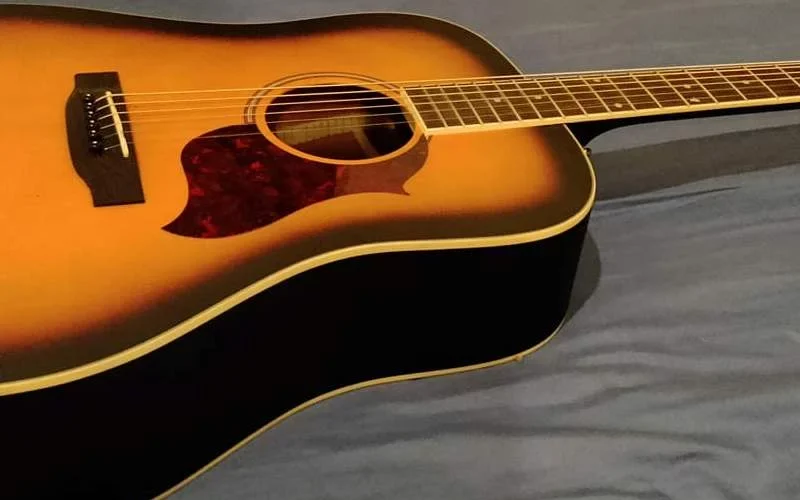 Review of donner acoustic guitar kit DAG-1S