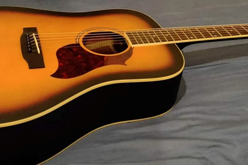 Review of donner acoustic guitar kit DAG-1S