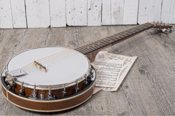Banjo - bowed or plucked instruments