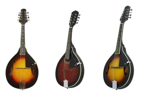 types of stringed instruments