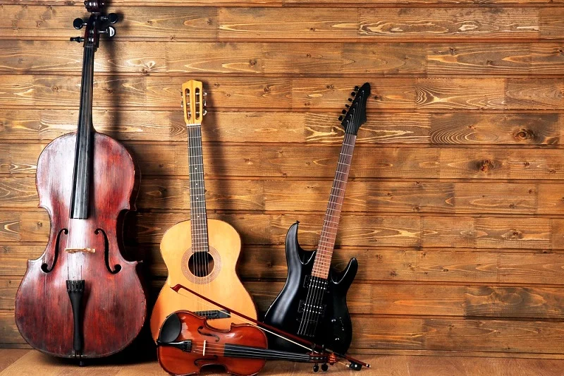 Types of Stringed Instrument