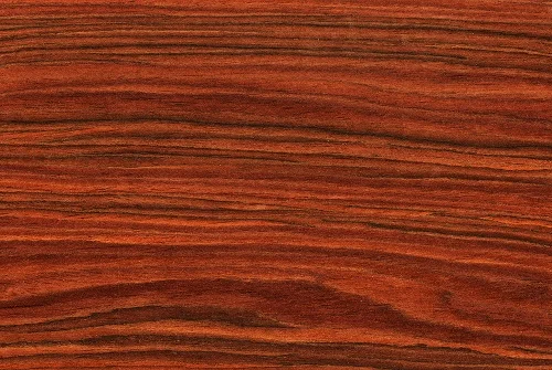 Rosewood Fretboard