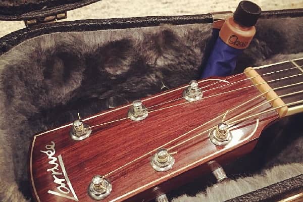 Guitar Case Humidifier Review