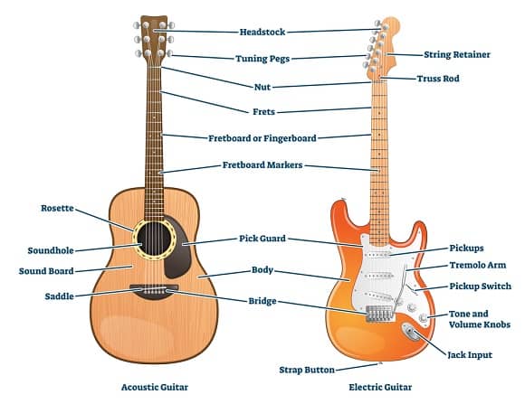 Anatomy of Guitar Body Parts